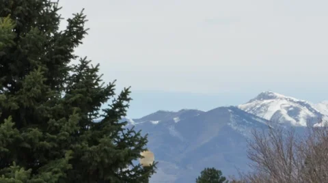 Utah trees and mountains Stock Footage 48433011