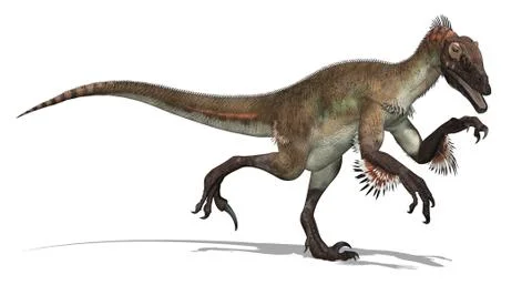 Utahraptor Dinosaur 스톡 일러스트