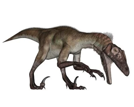 Utahraptor dinosaur roaring down - 3D render Stock Illustration