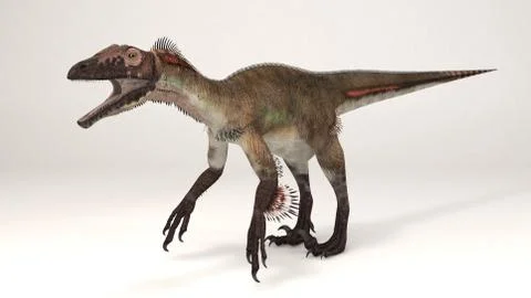 Utahraptor feathers Stock Illustration