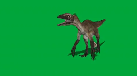 Utahraptor FS Walking Video stock 32846509