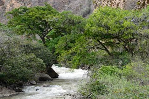 The Utcubamba river between native vegetation in Chachapoyas Amazonas-PERU Stock Photos