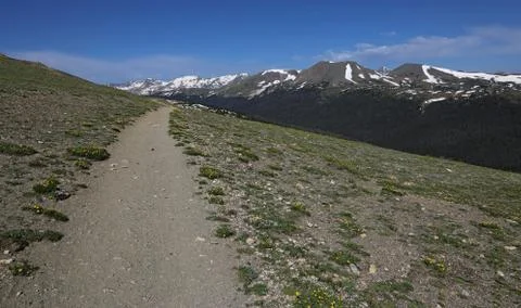 Ute Trail Stock Photos