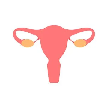 Uterus flat illustration Illustrazione stock