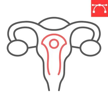 Uterus line icon Stock Illustration