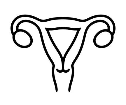 Uterus line icon Stock Illustration