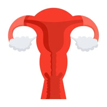 Uterus Vector Icon Stock Illustration