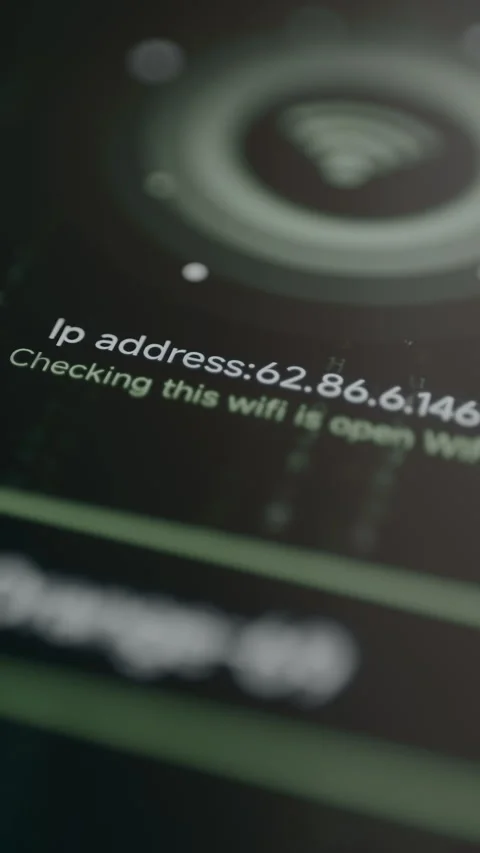 Utility app identifying an IP address and checking for network security Stock Footage 329279811