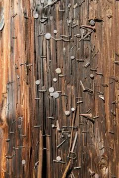 Utility pole nails vertical Stock Photos