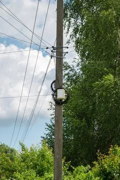Utility pole with overhead power lines beside green summer trees 库存照片