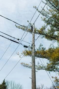 Utility pole with power lines and trees against cloudy sky Stock Photos