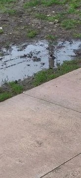 A utility pole reflected in a puddle by a sidewalk Stock Photos