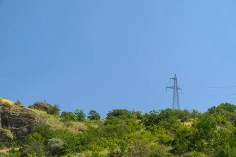 Utility pole rises above forested hill against clear blue sky 写真素材