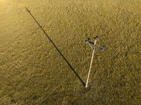 Utility Pole Sunset Stock Photos