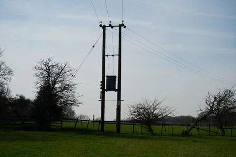 Utility Pole, Transformer, Power Lines, Green Field, Bare Trees, Barlow, England Fotos de archivo