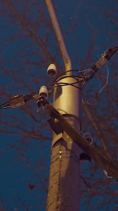 Utility Pole With Wires Against Winter Dusk Sky and Bare Tree Branches Video stock 317903578