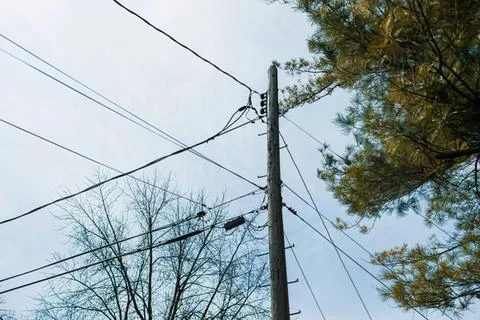 Utility pole with wires and trees under cloudy sky Stock Photos