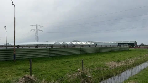 Utility poles and powerlines extending over Dutch farmland with crop fields.. Stock-Footage 334078469