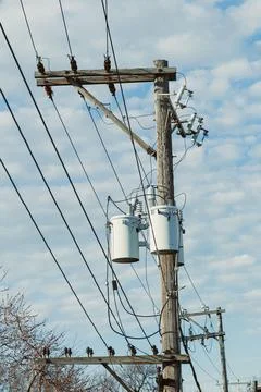 Utility poles hold transformers and power lines under a blue sky with cloud.. Stock Photos