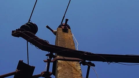 Utility Post Surface with Flickering Sparrow Wings: A small wild bird flutters i Stock Footage 346701820