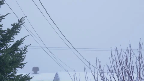 Utility power line in windy winter day snowy with coniferous tree Vidéo 258630176