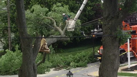 Utility Worker Cutting Tree Limbs Stock Footage 131991881