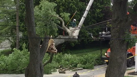 Utility Worker Cutting Tree Limbs Stock Footage 131992064