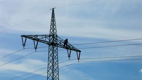 Utility Worker Inspecting High Voltage Transmission Tower Against Blue Sky in Stock Footage 334541982