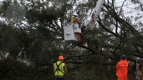 Utility worker repair damage to power lines at MCAS New River - 2018 Stock Footage