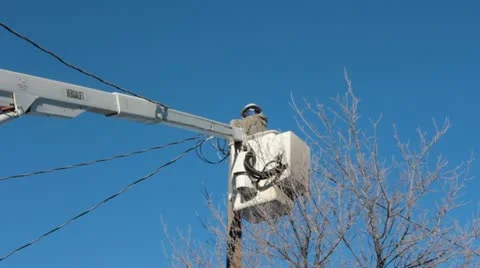 Utility Worker in the tree. Video stock 15155888