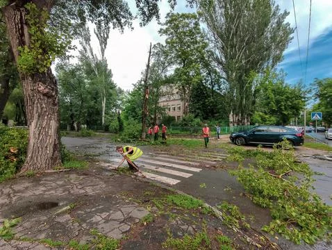Utility workers cleaning trees after storm on the road. recycle the trees felled Stock Photos