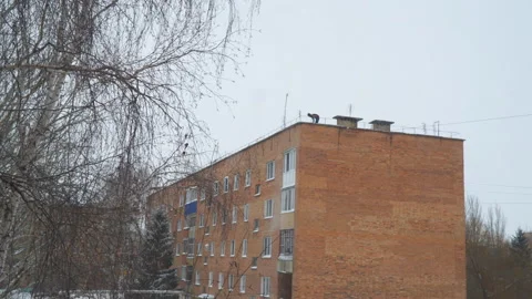 Utility workers remove snow from the roof of multi-storey building Vidéo 142883637