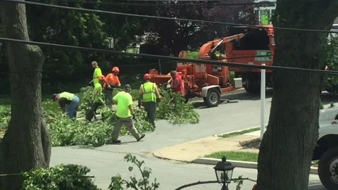 Utility Workers Shredding Branches Stock Footage 131992172