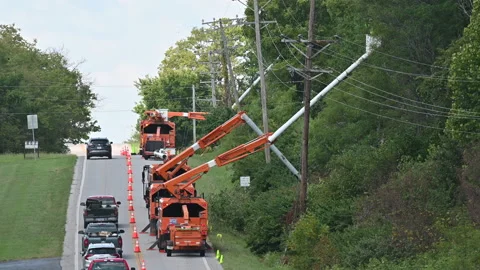 Utility Workers Trim Trees Around Power Lines Stock Footage 210027579