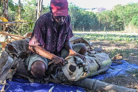 Utilizing Natural Resources: The Process of Compost Making by Farmers' Group Stock Photos