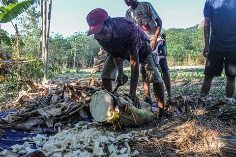 Utilizing Natural Resources: The Process of Compost Making by Farmers' Group Stock Photos