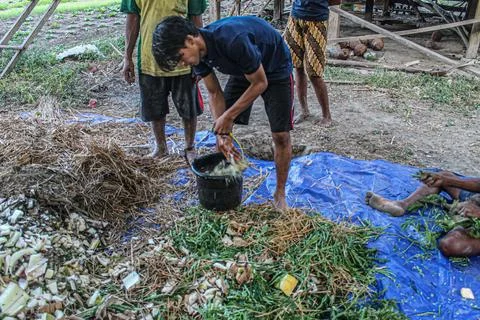 Utilizing Natural Resources: The Process of Compost Making by Farmers' Group Stock Photos
