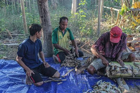 Utilizing Natural Resources: The Process of Compost Making by Farmers' Group Stock Photos