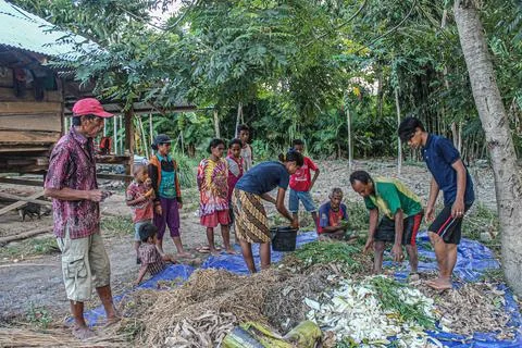 Utilizing Natural Resources: The Process of Compost Making by Farmers' Group Stock Photos