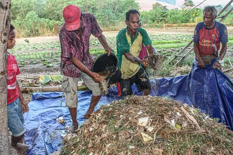 Utilizing Natural Resources: The Process of Compost Making by Farmers' Group Stock Photos