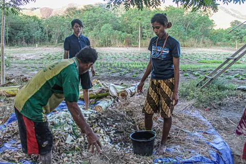 Utilizing Natural Resources: The Process of Compost Making by Farmers' Group Stock Photos
