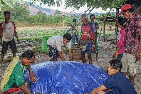 Utilizing Natural Resources: The Process of Compost Making by Farmers' Group Stock Photos