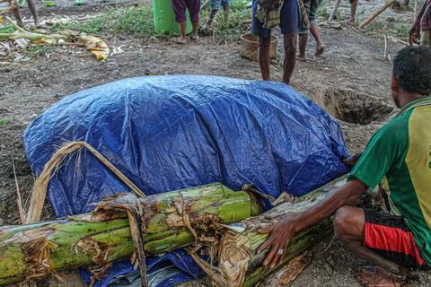Utilizing Natural Resources: The Process of Compost Making by Farmers' Group Stock Photos