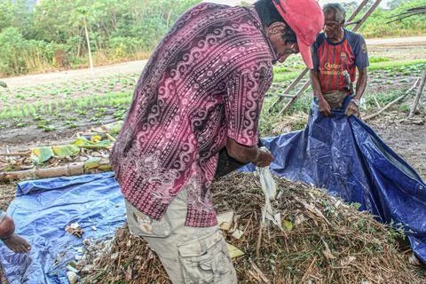 Utilizing Natural Resources: The Process of Compost Making by Farmers' Group Stock Photos