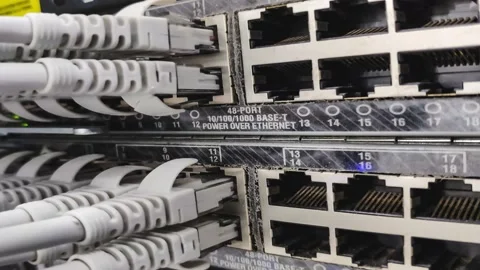 Utp cabling connection in switch Stock Footage 157586522