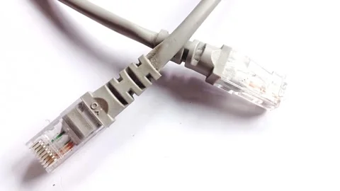 UTP Cat6 LAN internet network cable fiber optic and Ethernet port data link Stock Footage 304440780