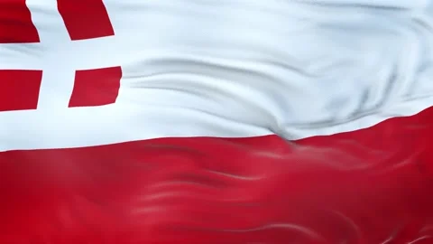 Utrecht flag waving in the wind with highly detailed fabric texture 動画素材 139380230