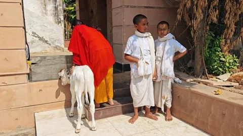 UTTAR P, INDIA- OCTOBER 10, 2025: Children with a cow in a village setting Stock Footage 327151130