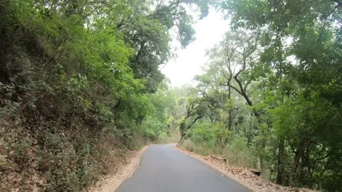 Uttarakhand Mountains Road Vídeo Stock 191400235