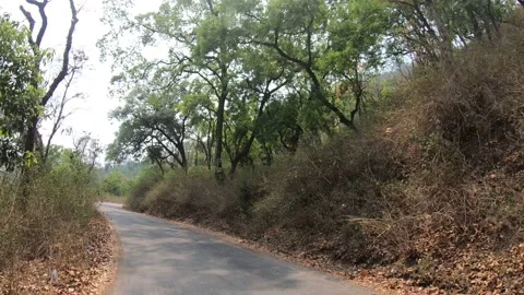 Uttarakhand Mountains Road Video stock 191402959